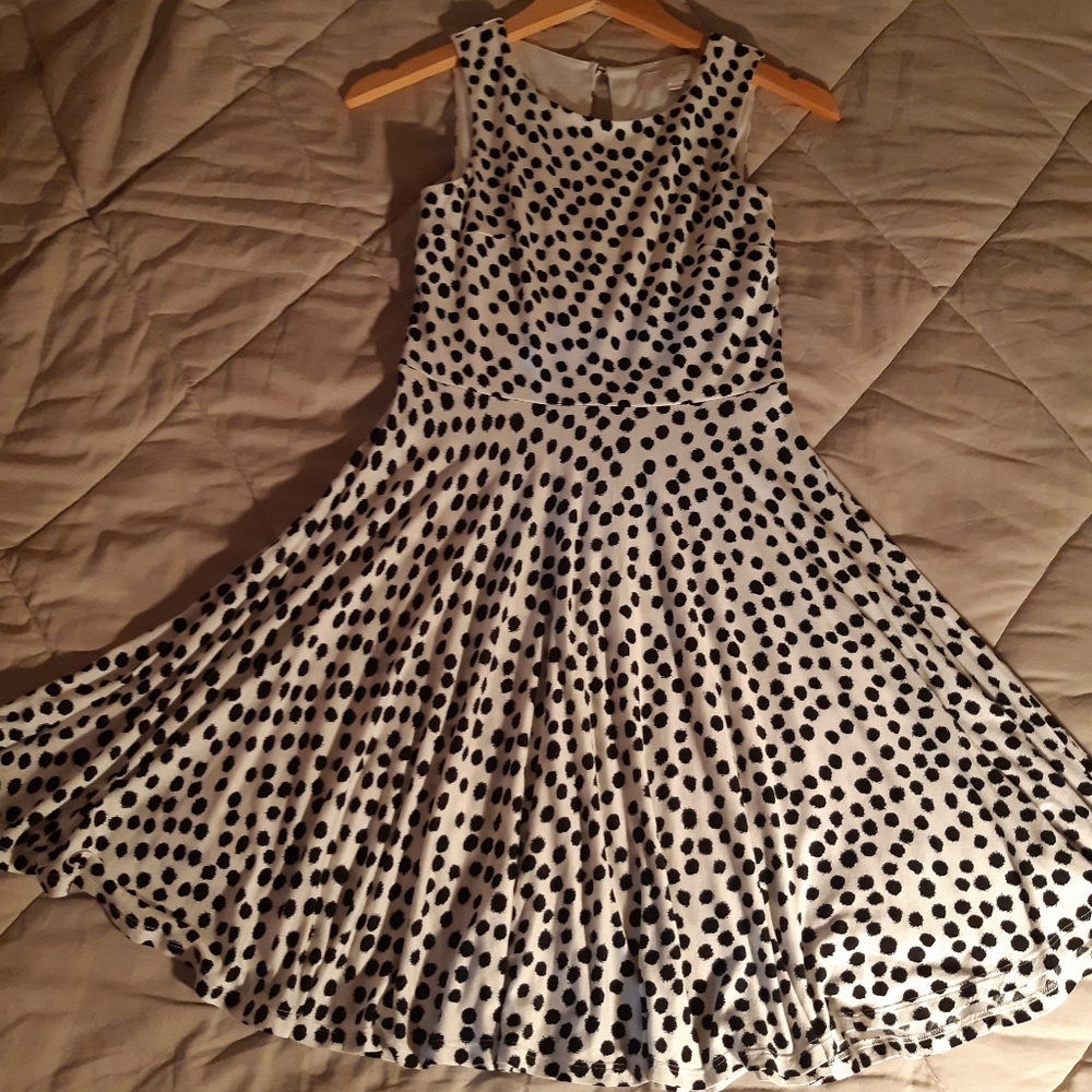 Ann Taylor Loft Dress